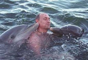 Poetin dolfijnen